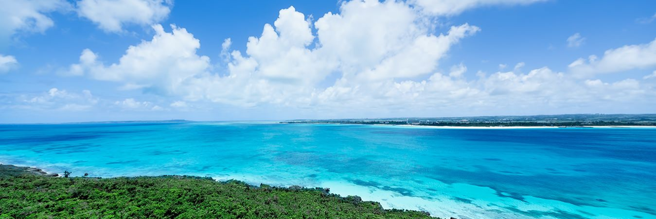 研究の世界を飛び出してベンチャーで挑戦