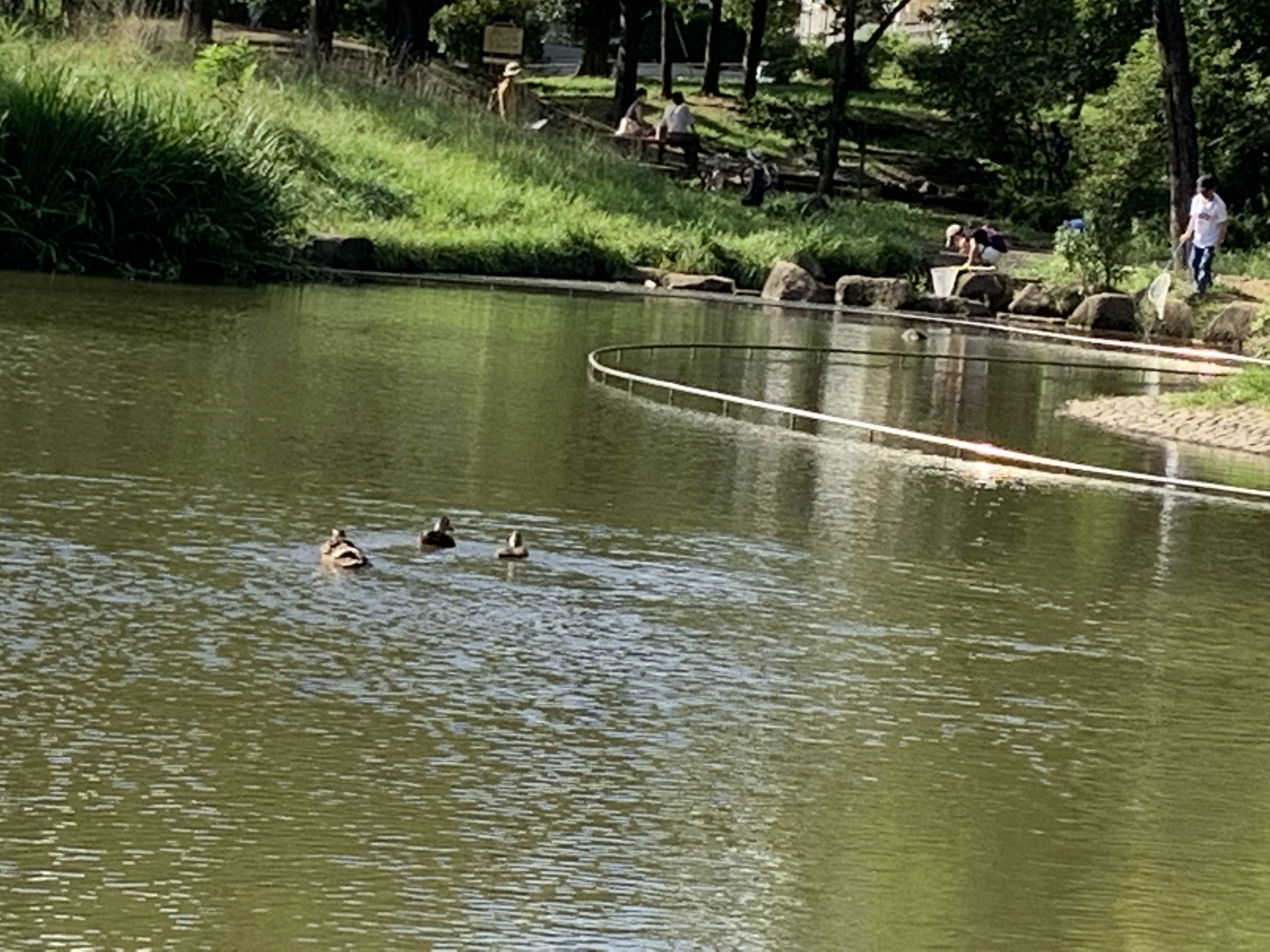 【内定者体験談】文系就職を目指していたわたしが、エンジニア職の内定者になるまで