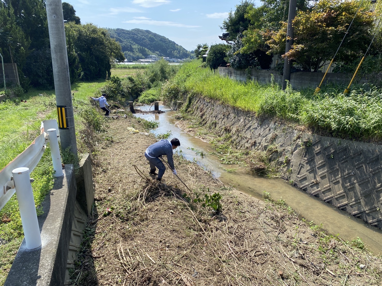 海岸清掃と草刈り