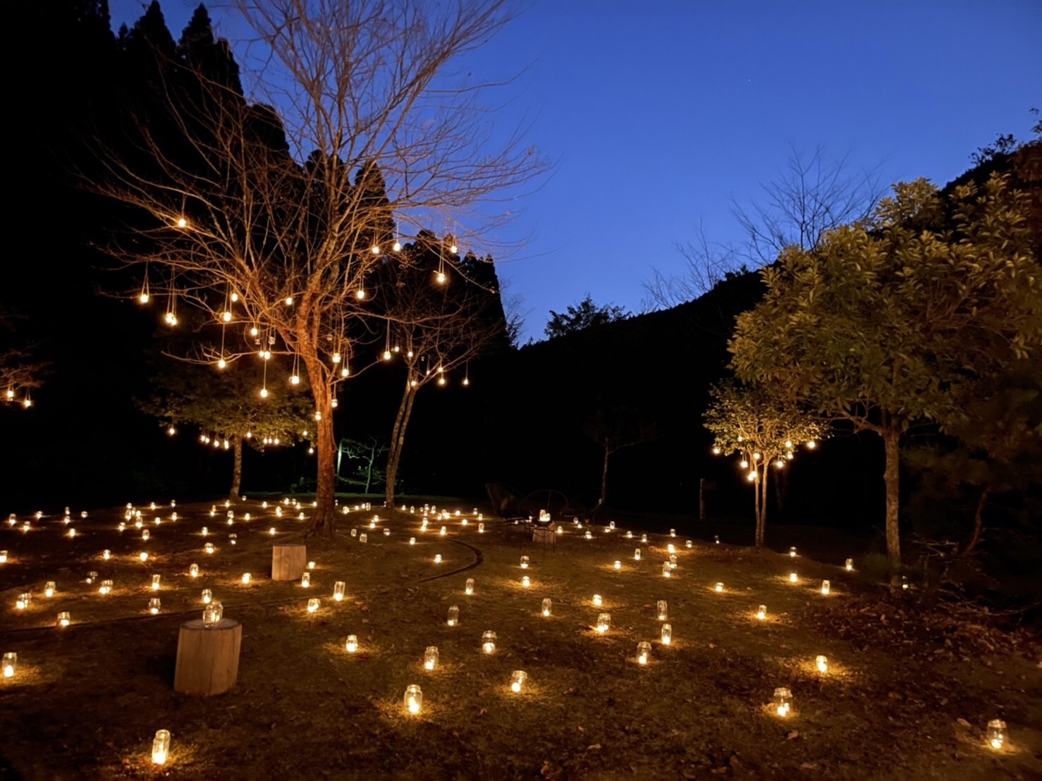 大盛況に終わった「森とキャンドルナイト」の裏側についてインタビューしました！