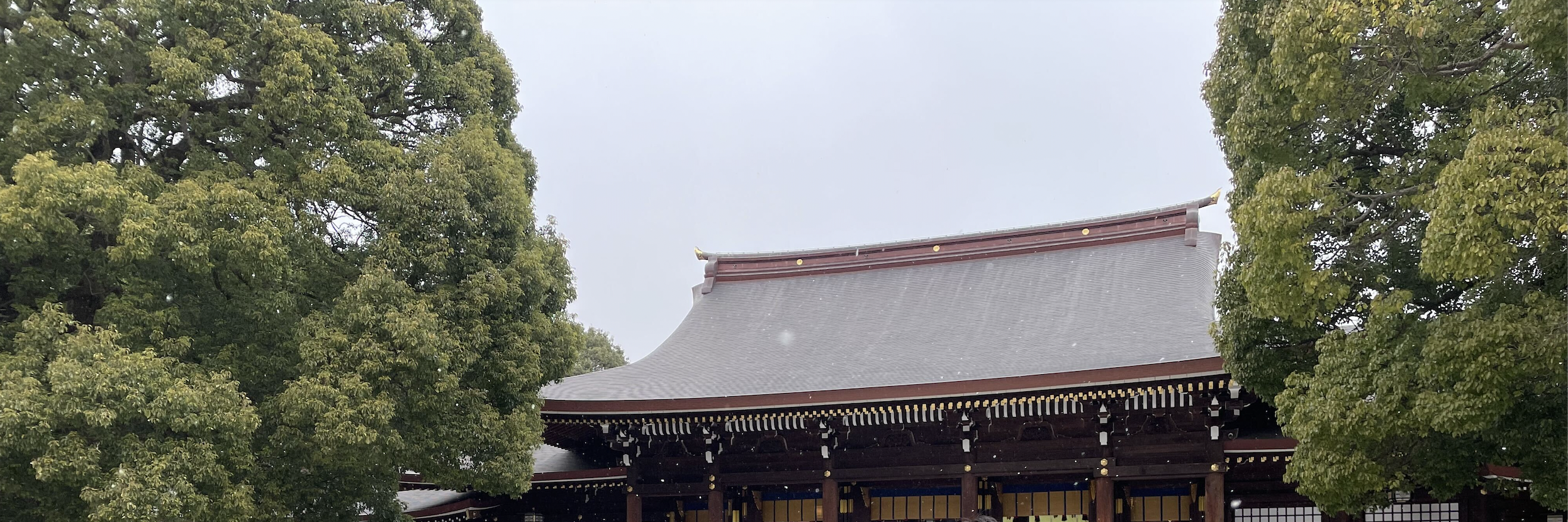 初詣🎍参拝者数例年1位の〇〇へ行きました！🌅