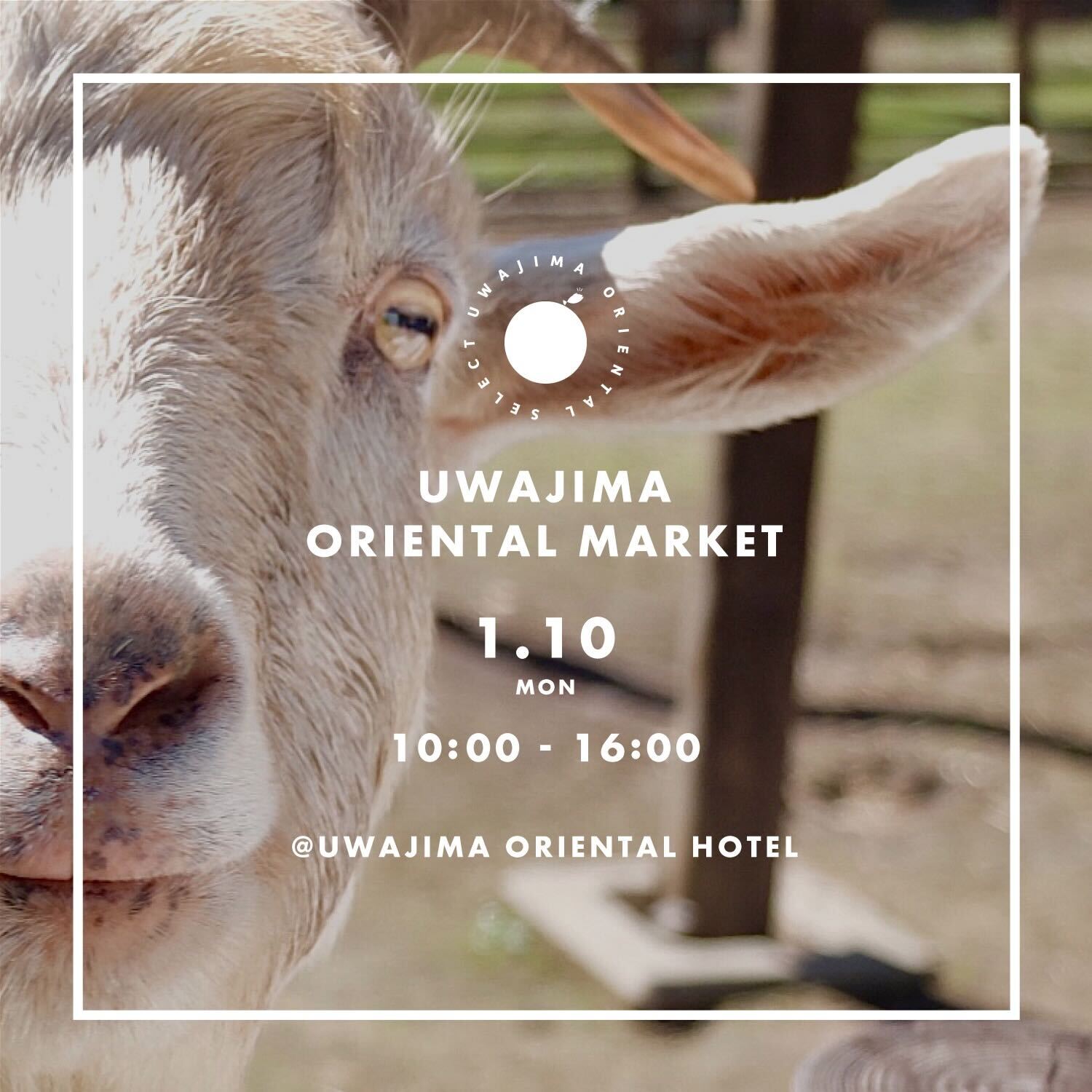 地元の魅力を再発見。宇和島オリエンタルホテルでマルシェが開催されました！