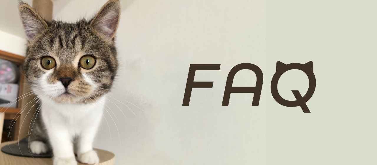 【フルリモート・フルフレックス】採用担当からeMindという会社について、よく聞かれる質問にお答えします！