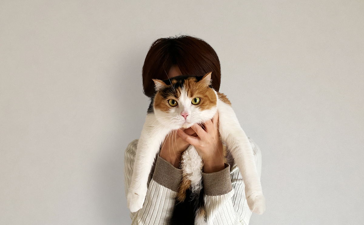 2022年2月22日はスーパー猫の日！