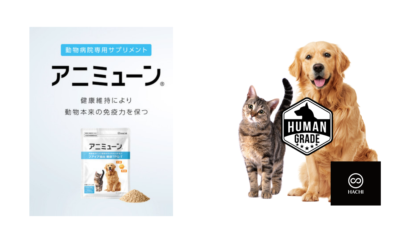 ［動物病院専用品・犬猫用栄養補助食品］ アニミューン 14g HACHI 5個 アニミューン 14g 犬・猫用サプリメント - メルカリ