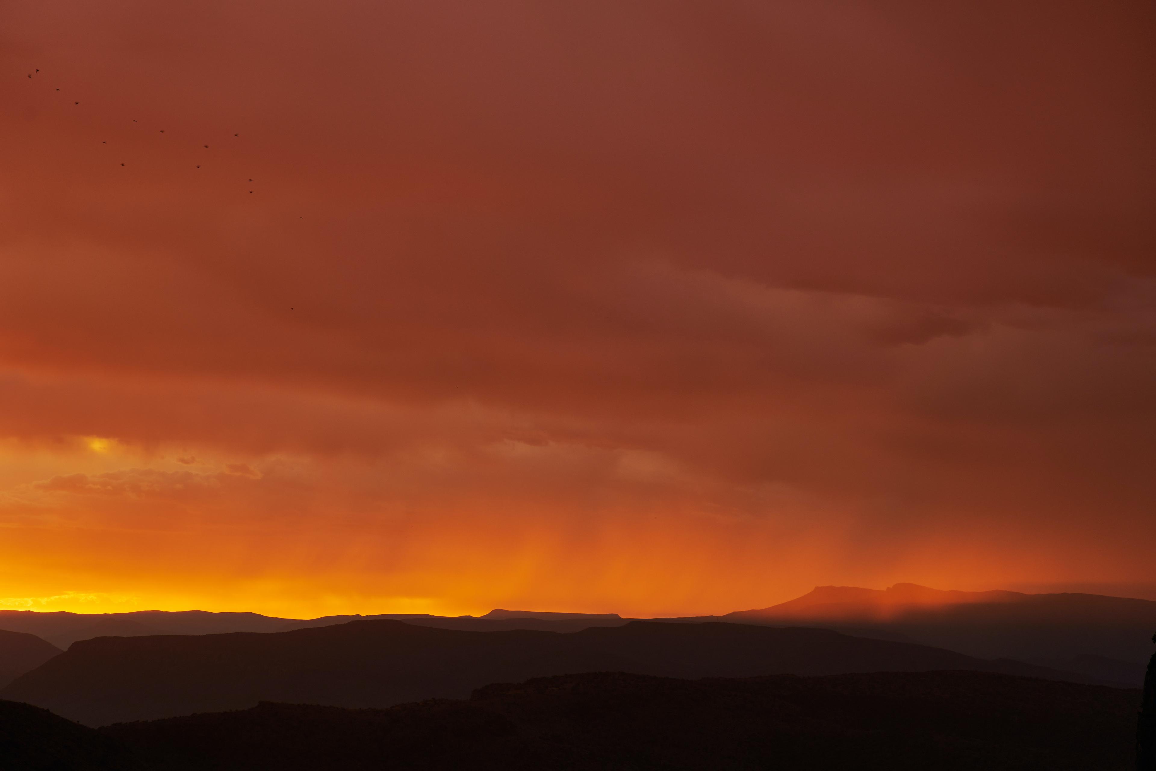 3月は、リモートからスタートです。