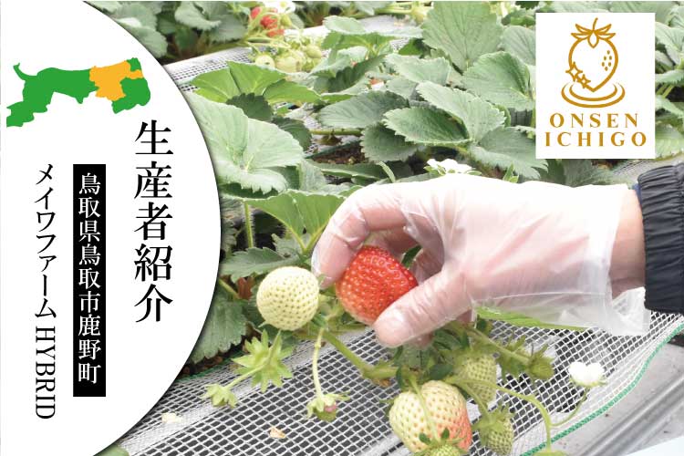 商品のストーリーをお客様にお伝えしていきたい！