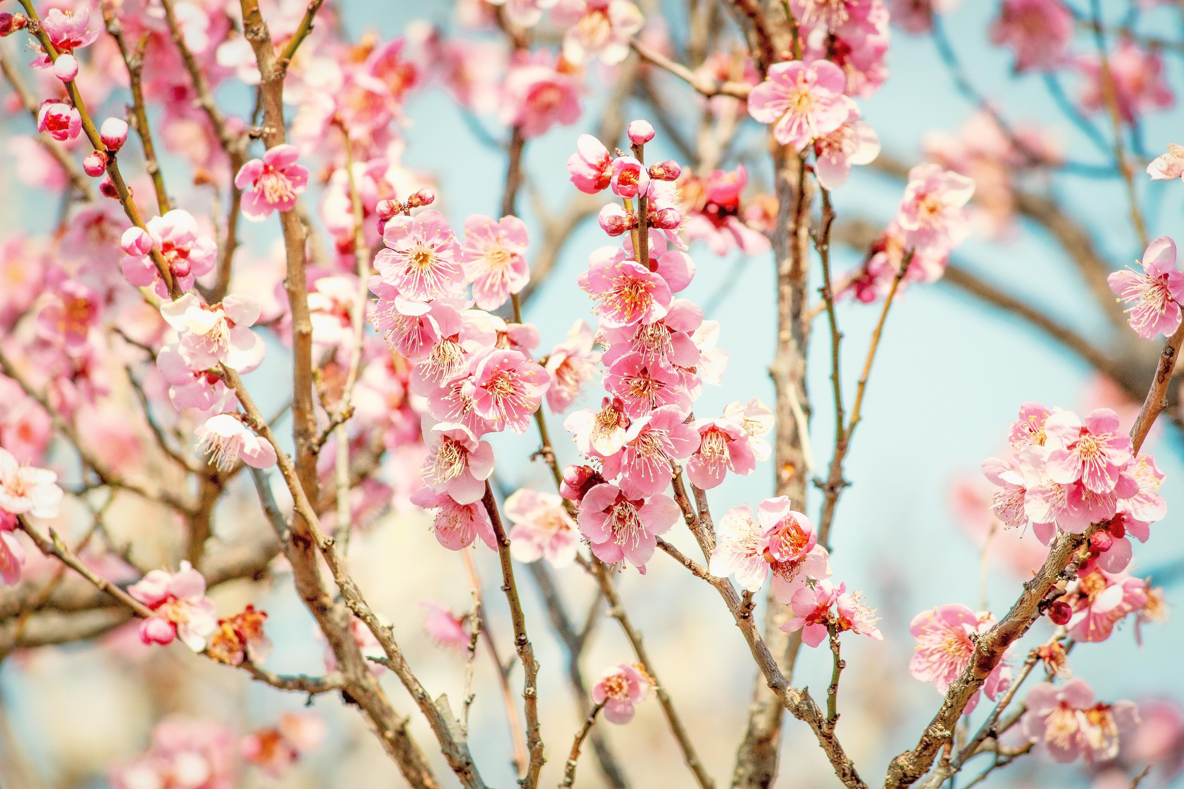 社員紹介Vol.6:新入社員インタビュー Tori編