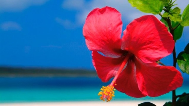 〈22卒内定者記事〉上京して気づいた身近なブランディング