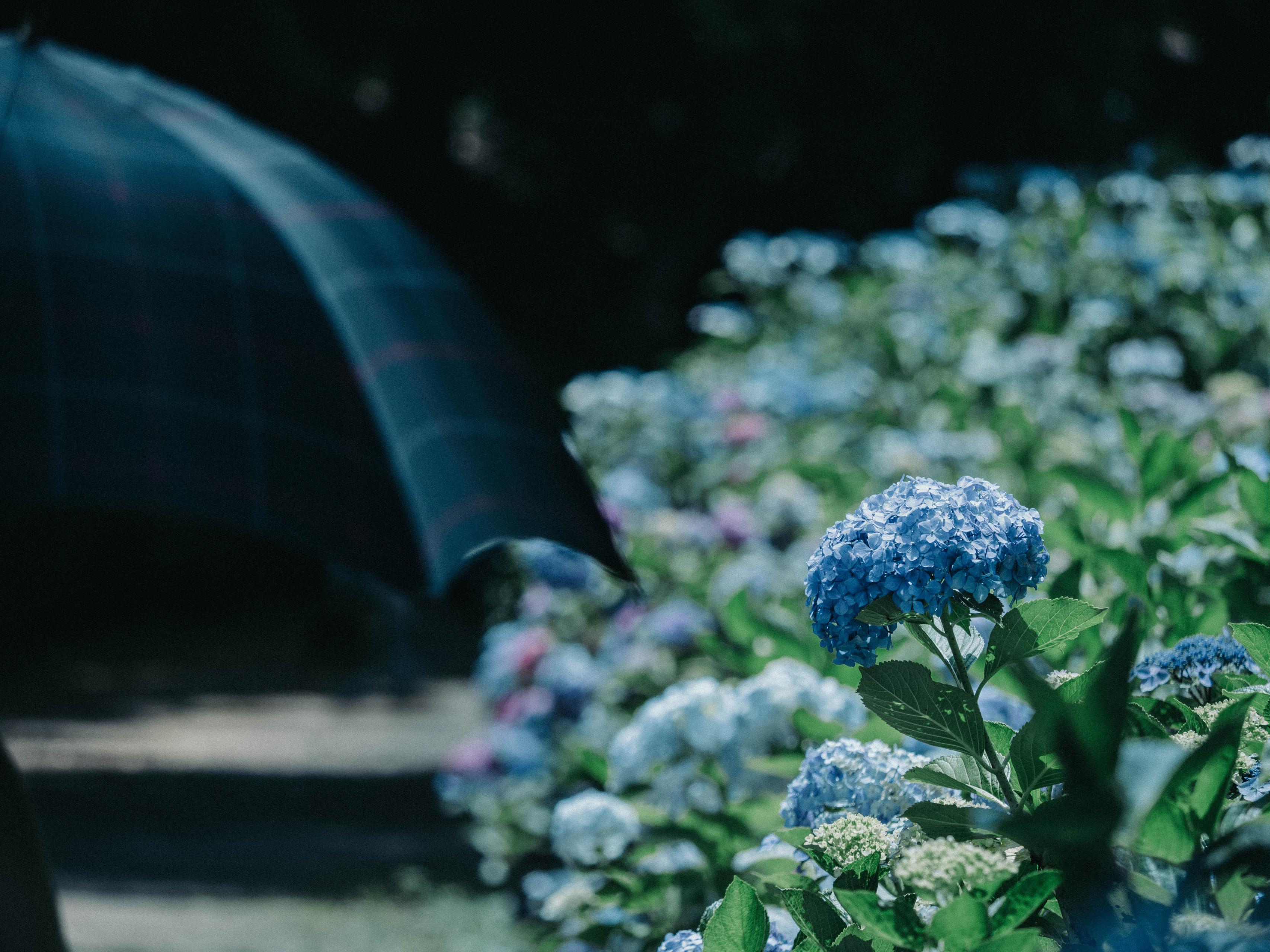 店舗クローズから初めて「悔しい」と泣いた日