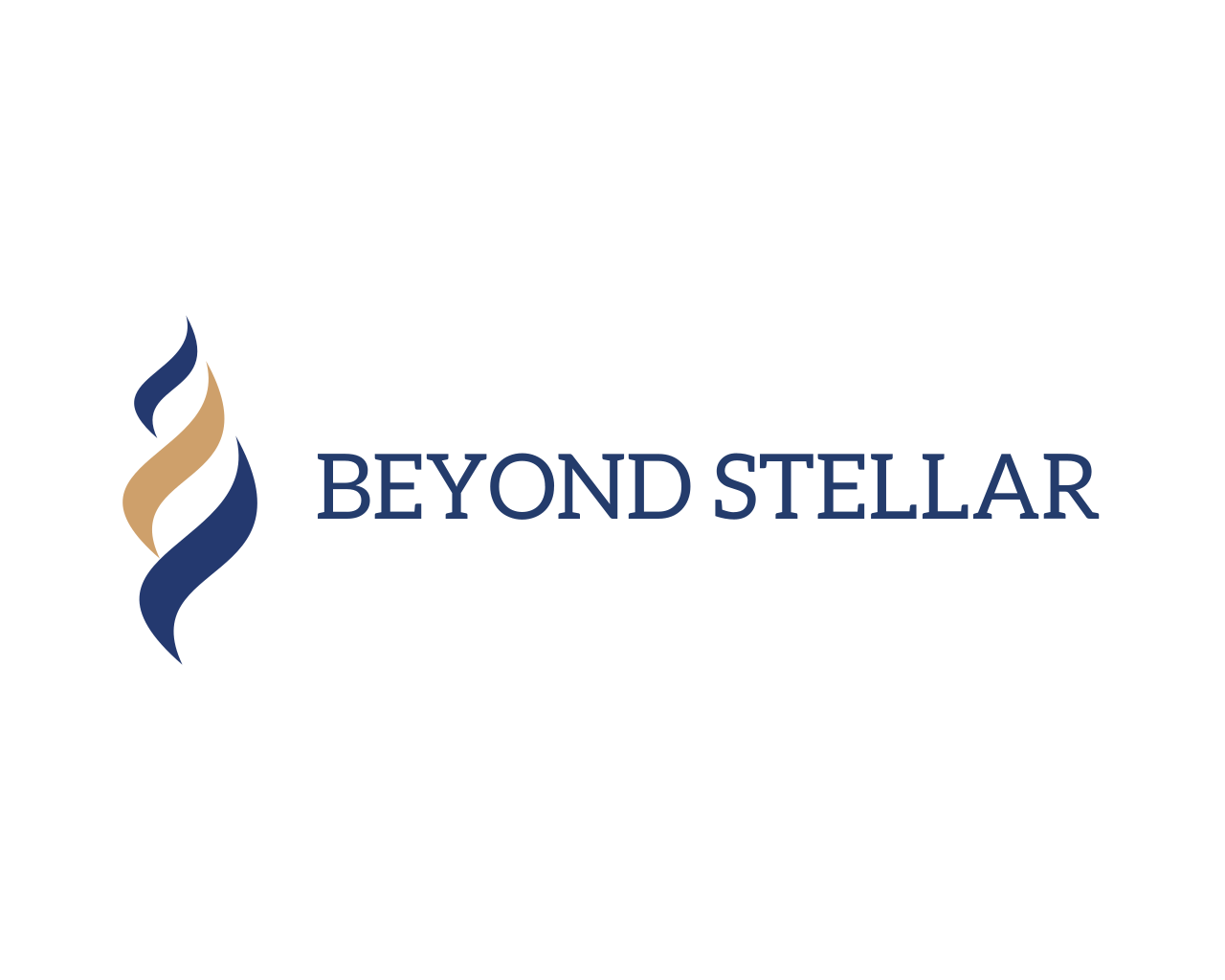 Beyond Stellar Pte Ltd