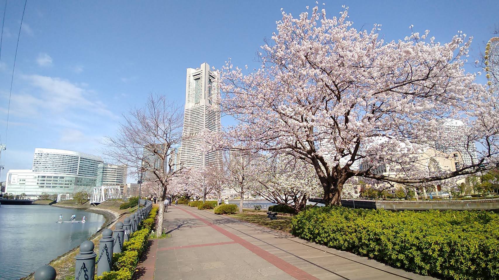22新卒のみなさま、ご入社おめでとうございます！