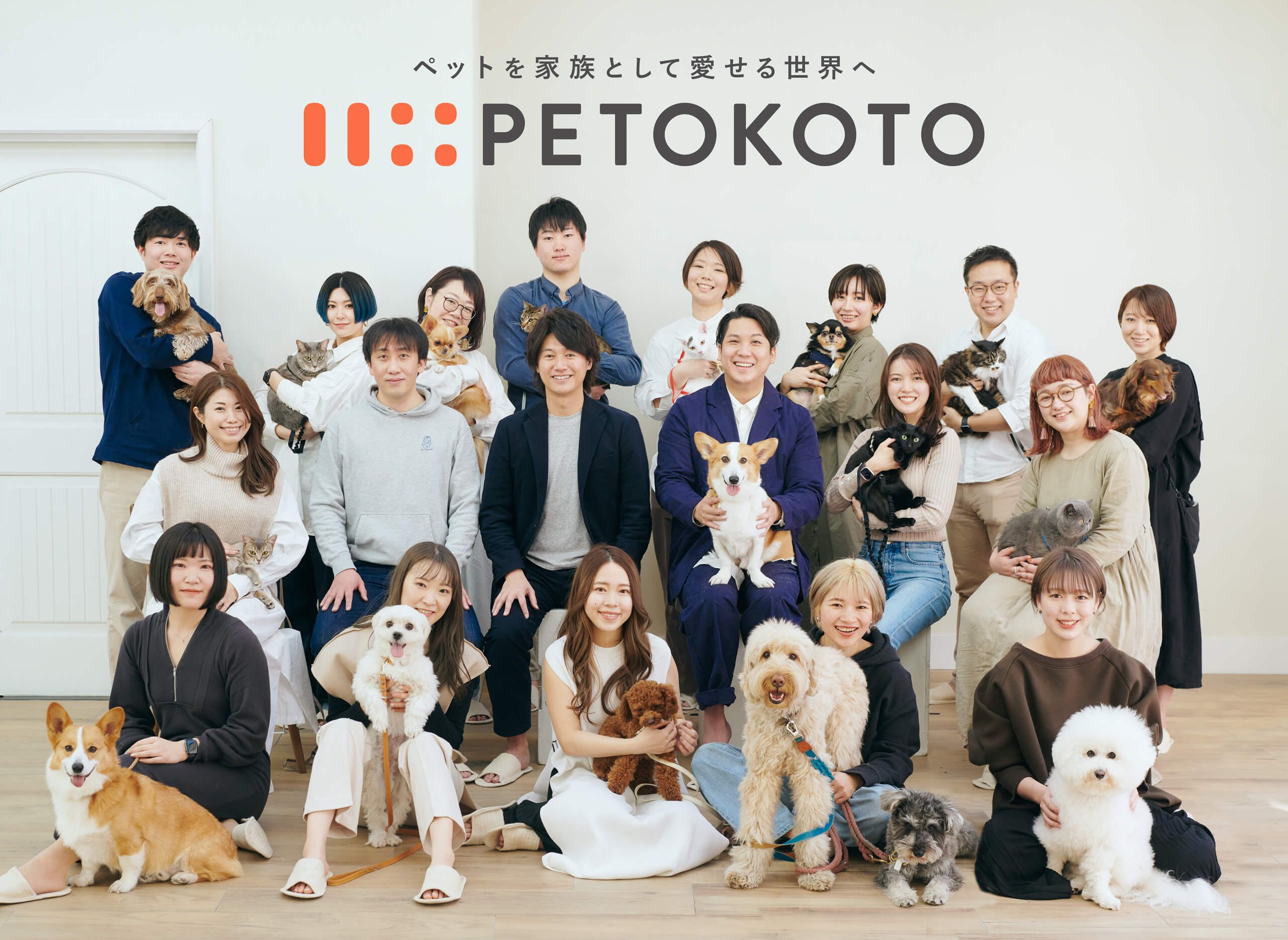 PETOKOTOは全面ブランドリニューアルを実施しました！