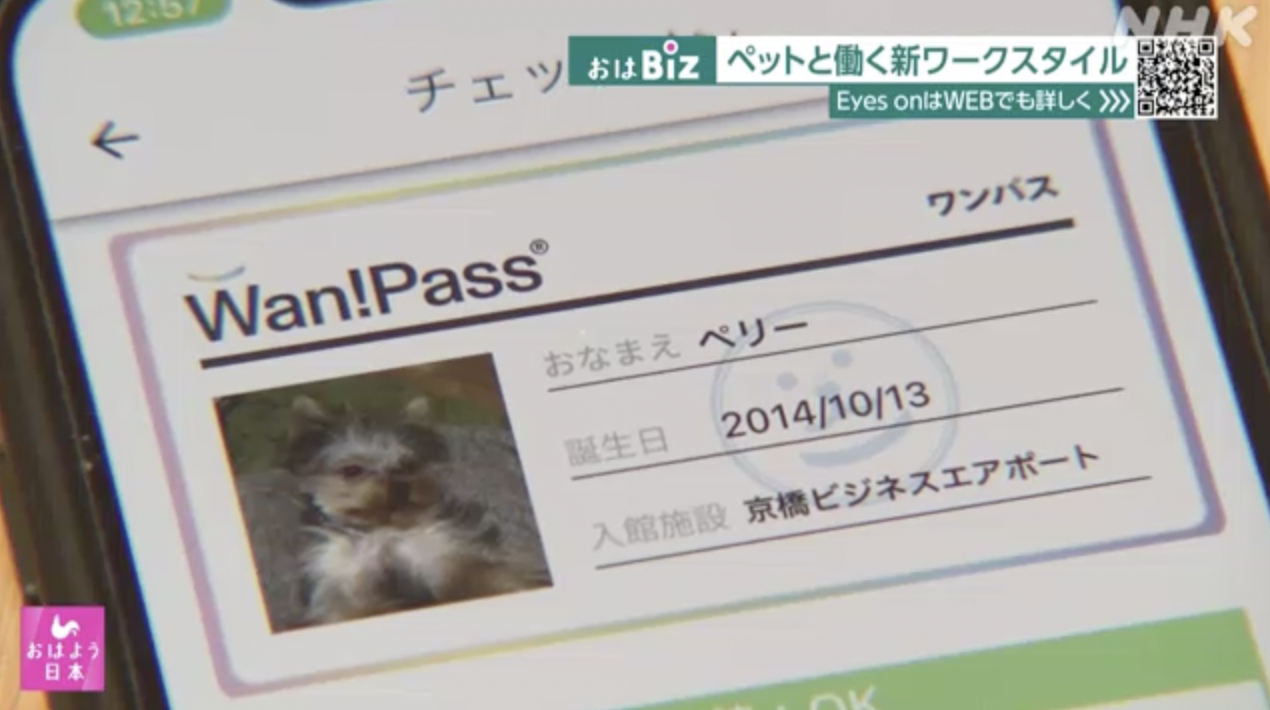 NHK「おはよう日本」でWan!Passの取り組みが放送されました。