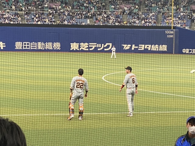 野球観戦