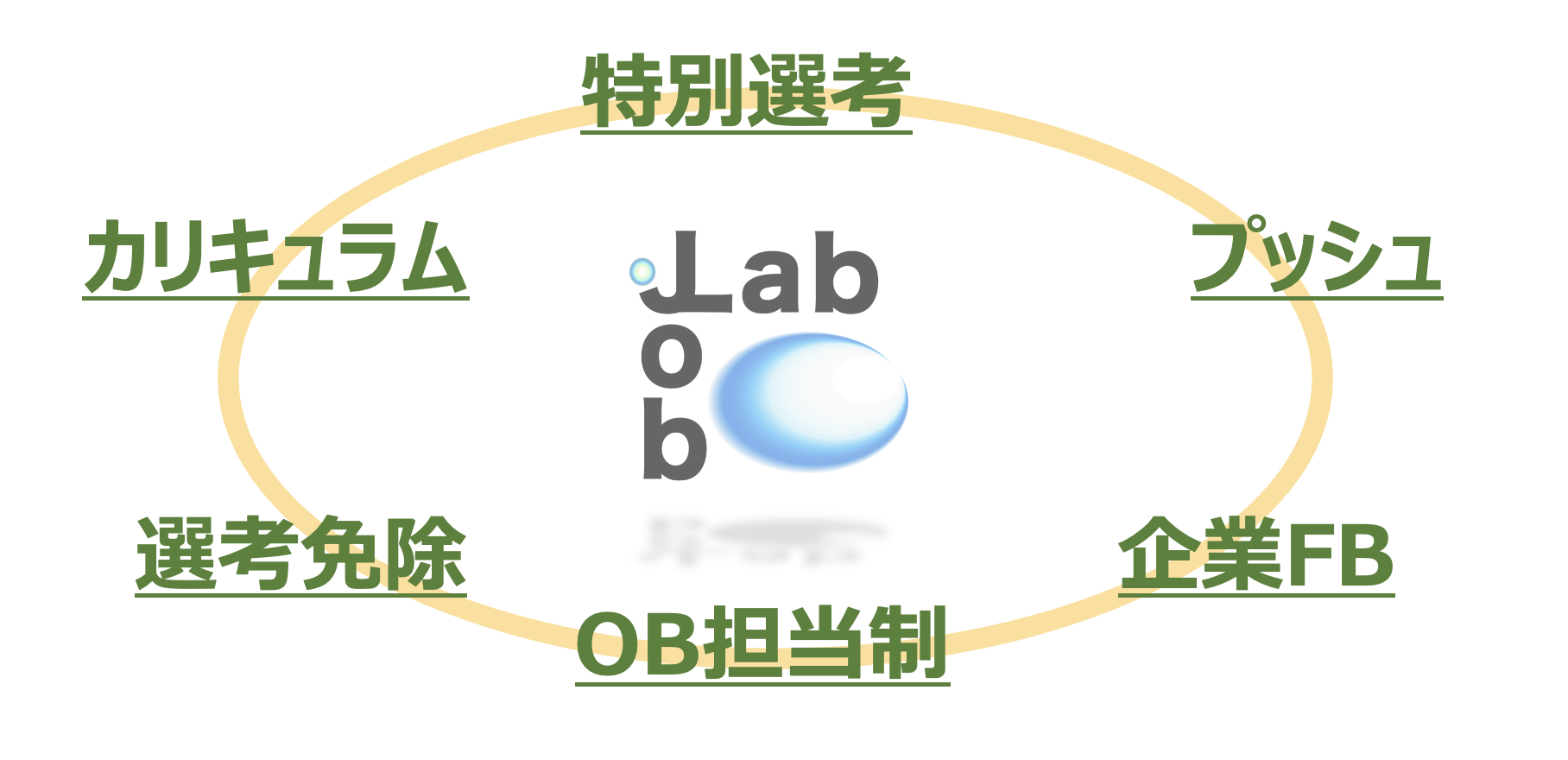就活支援制度「ジョブラボ」