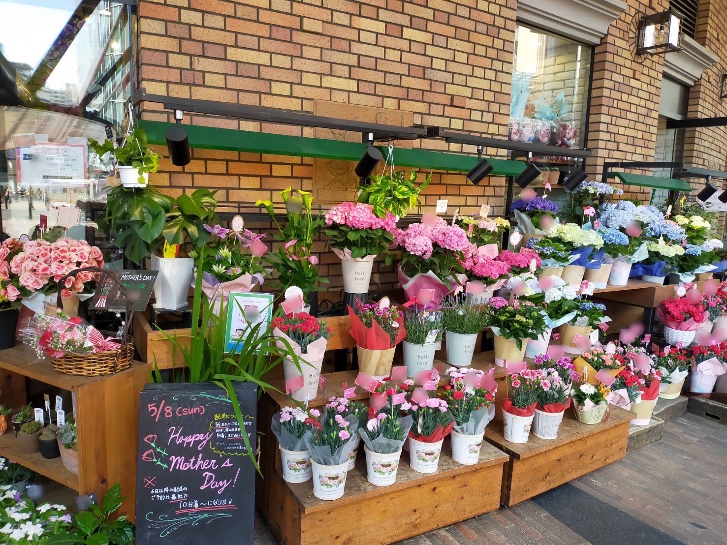 まきたむ。の植物チェック☆
