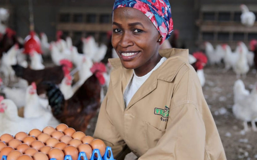 ケーススタディ：Vetcare Africa (Kenya) Ltd.