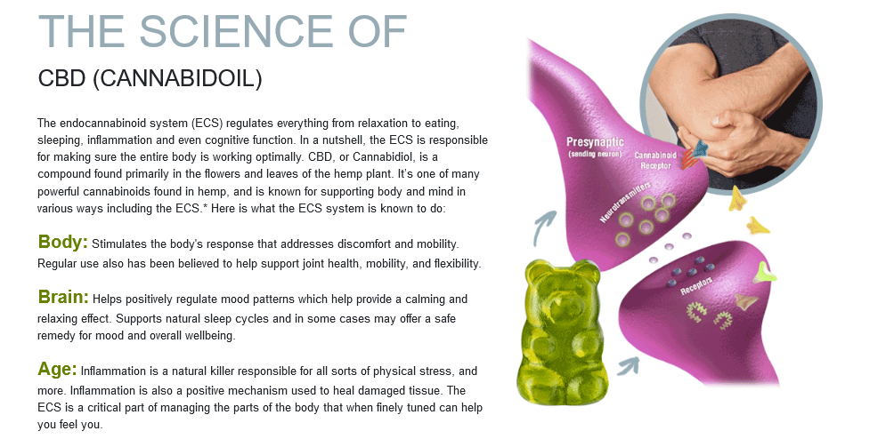 CannaLeafz CBD Gummies Canada Reviews-It truly work or trick ?