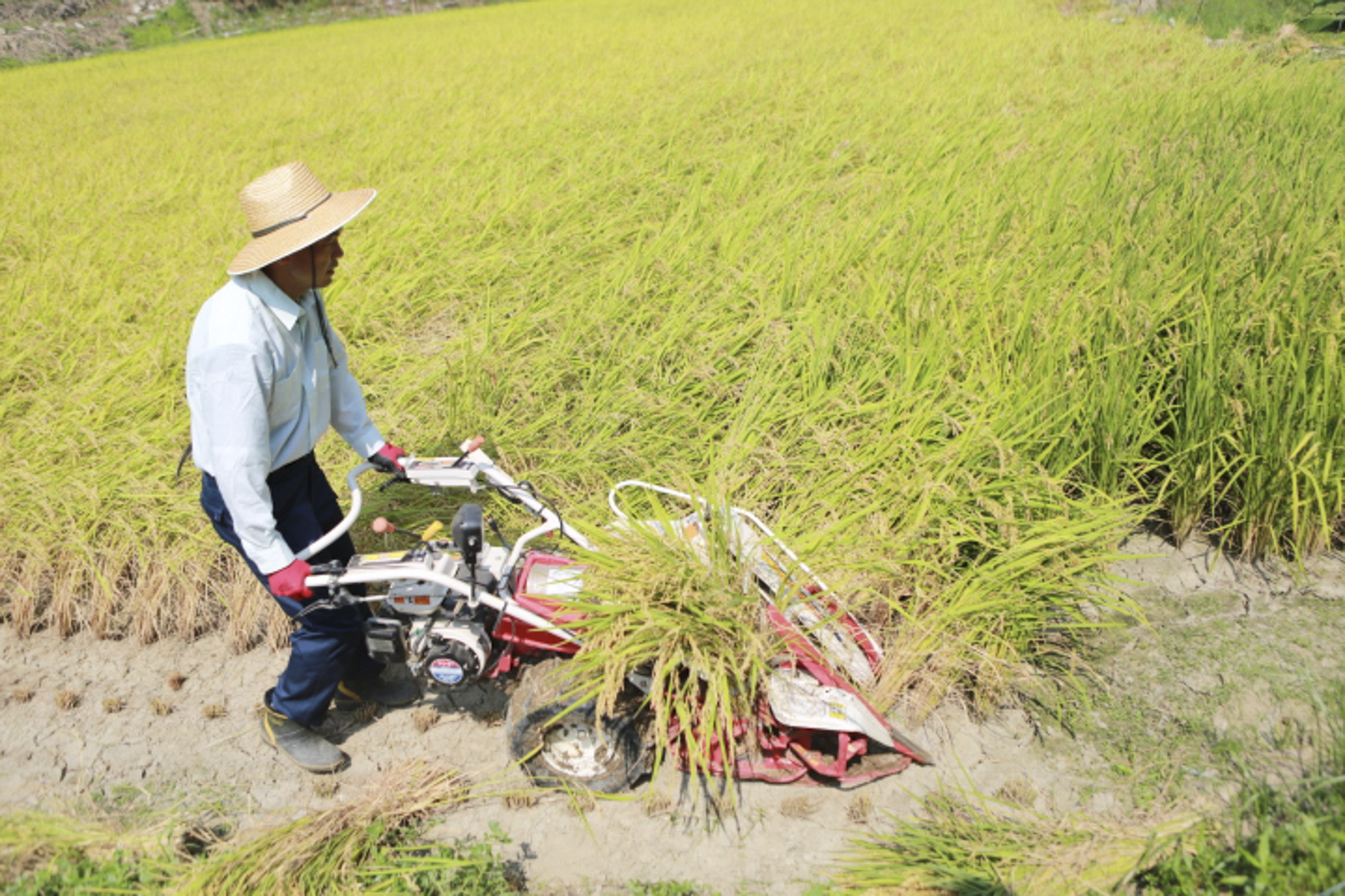 はじめまして。ASH株式会社です！