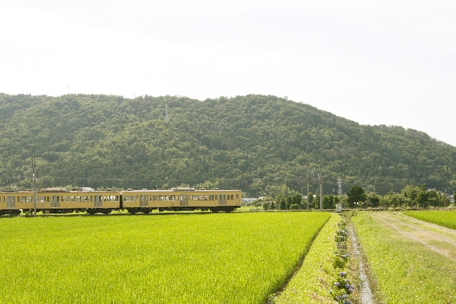 経営理念に血を通わすことにしました