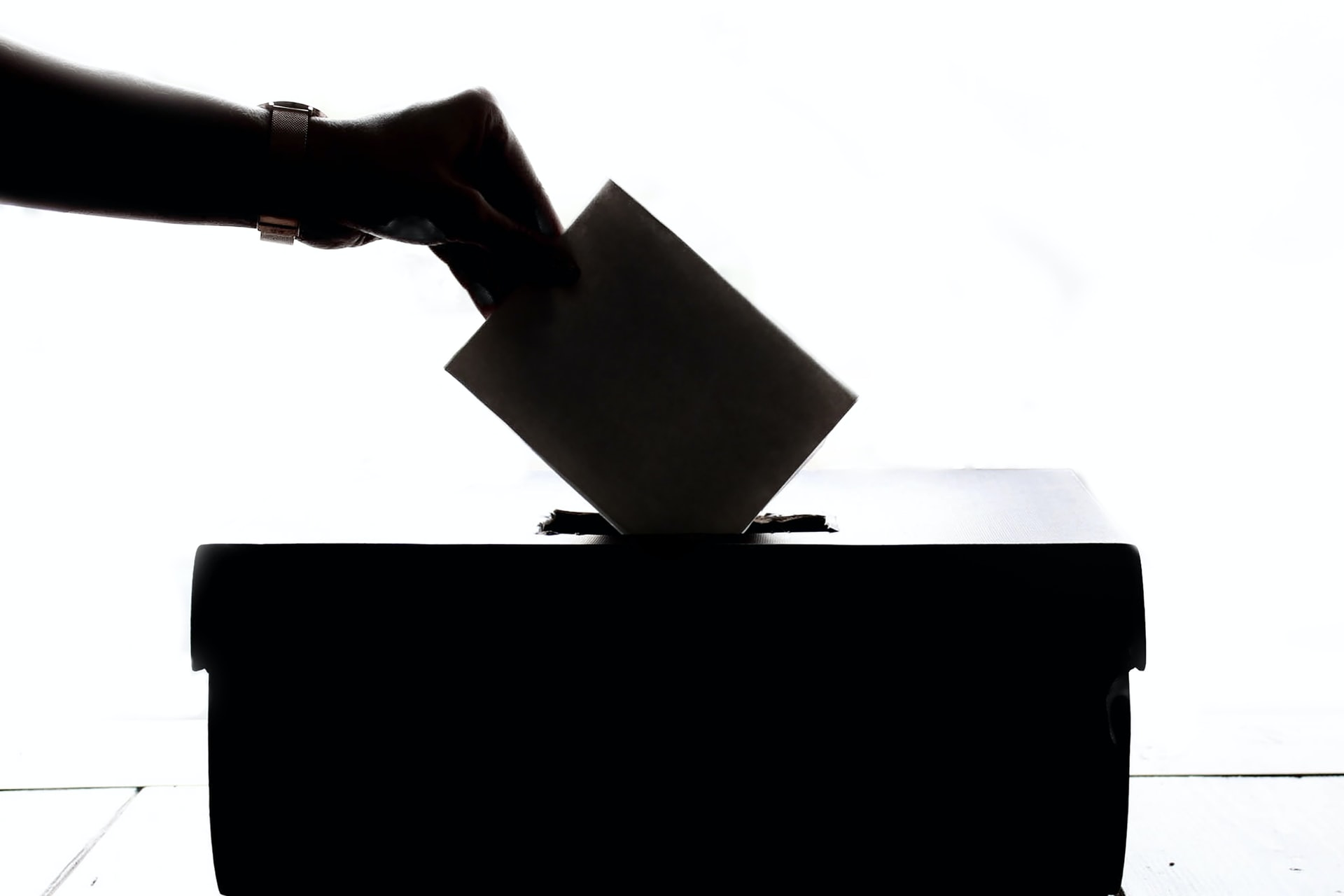 サイボウズ社を見習ってニコシスでも取締役選出選挙をやってみた
