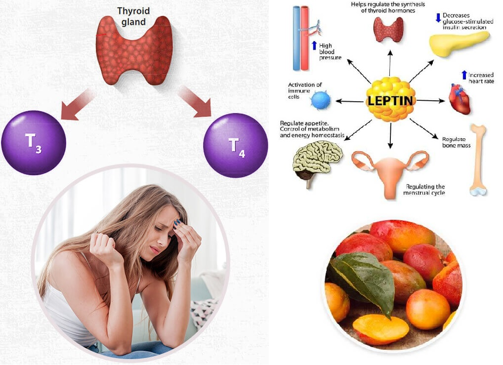 Hormonal Harmony Reviews: Does it Really Work?