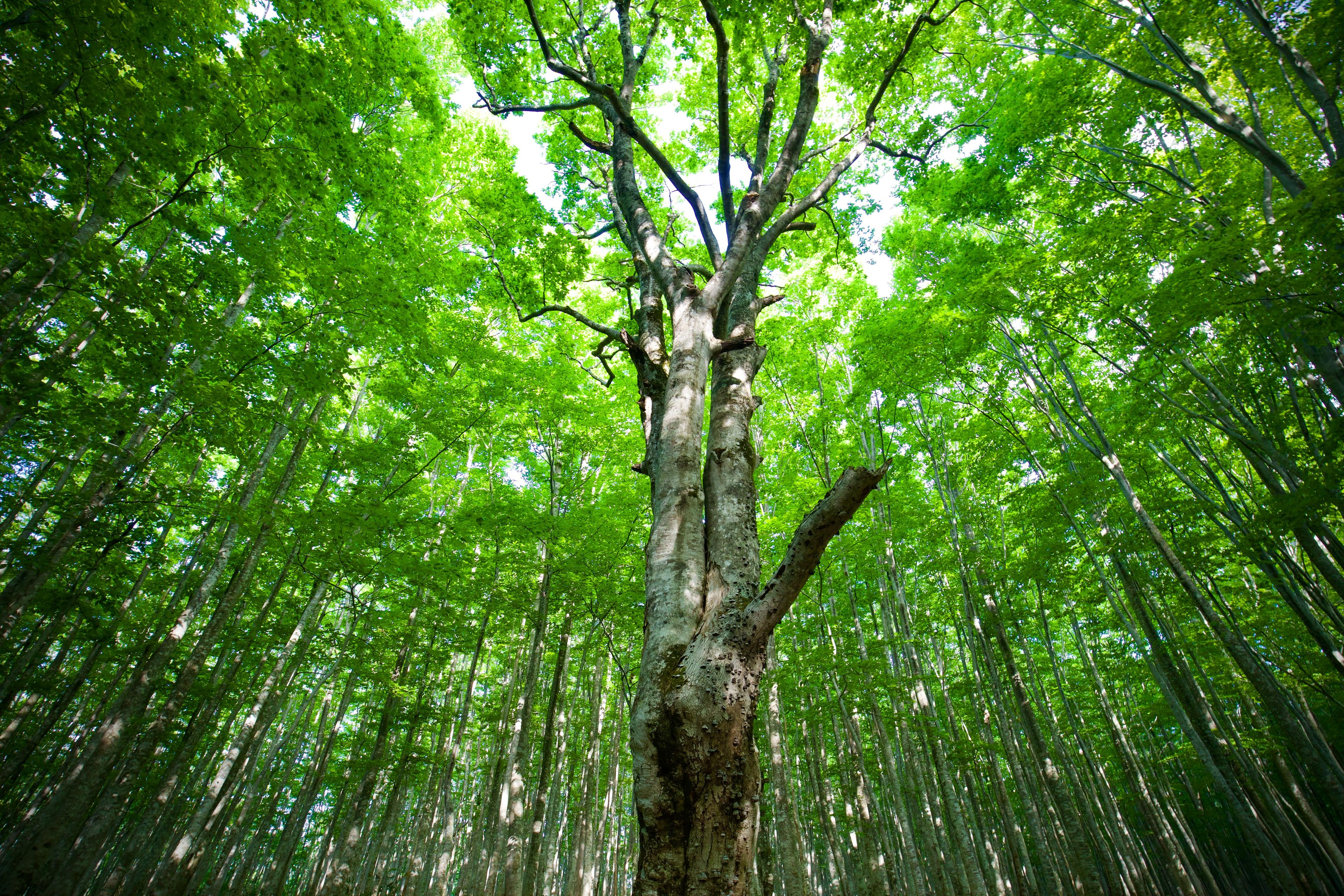 【Story001】会社紹介＆社長インタビュー～私たち”Cloud9”という会社について～