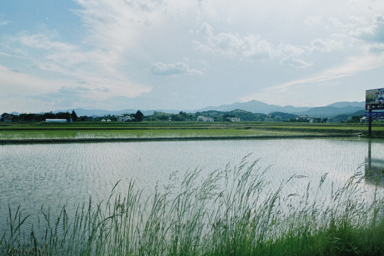 人材エージェントでありながら地方創生にも携わる。やってみたいをあきらめないALL IS NEWの働き方