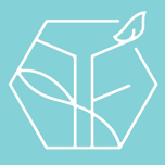 株式会社ファルベ