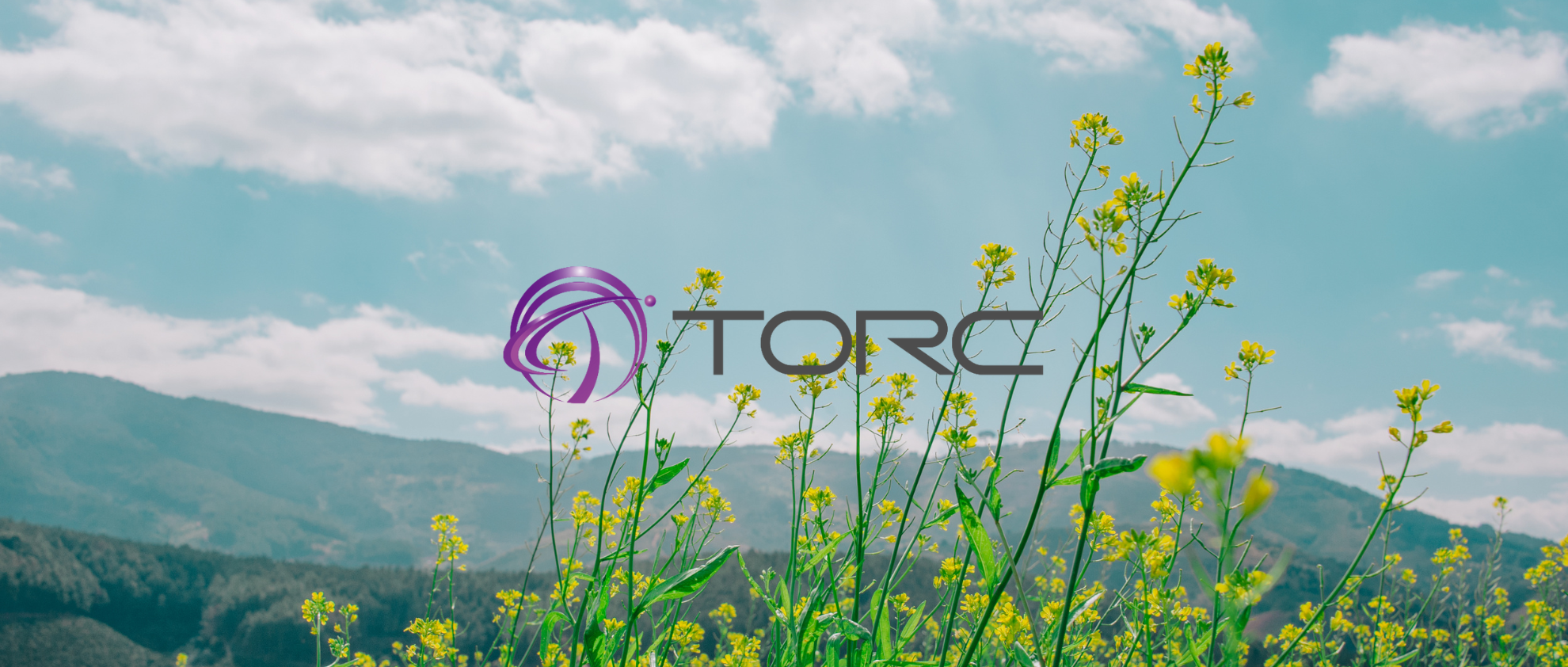 【社員紹介：NO2・K.Iさん】選んだ会社は技術の成長と、話し合える社長！！