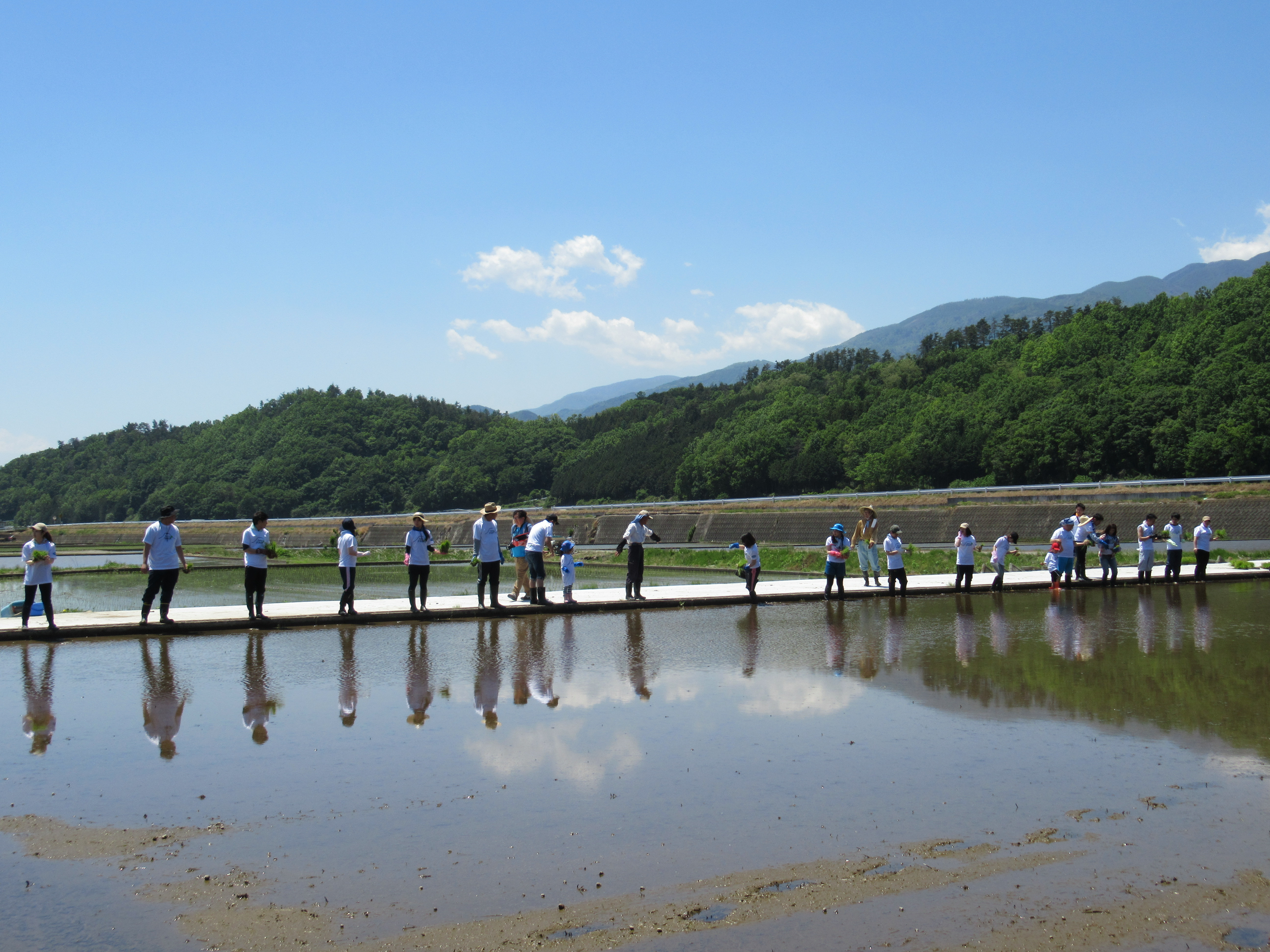 【研修制度】農業への理解と人材育成を目的とした「Dears FARM」