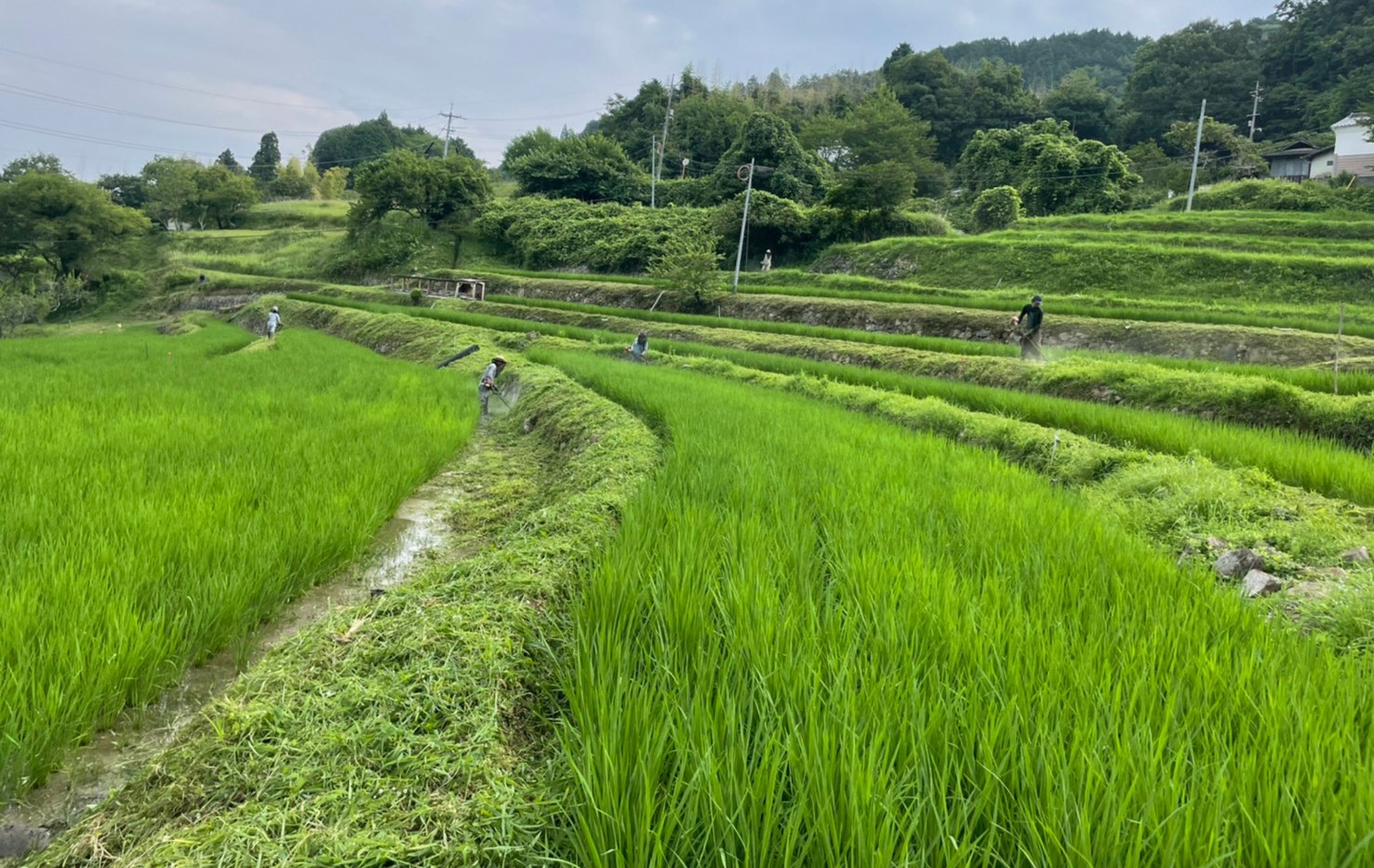 アウトドア部　岡山県美作市上山 キャンプ！