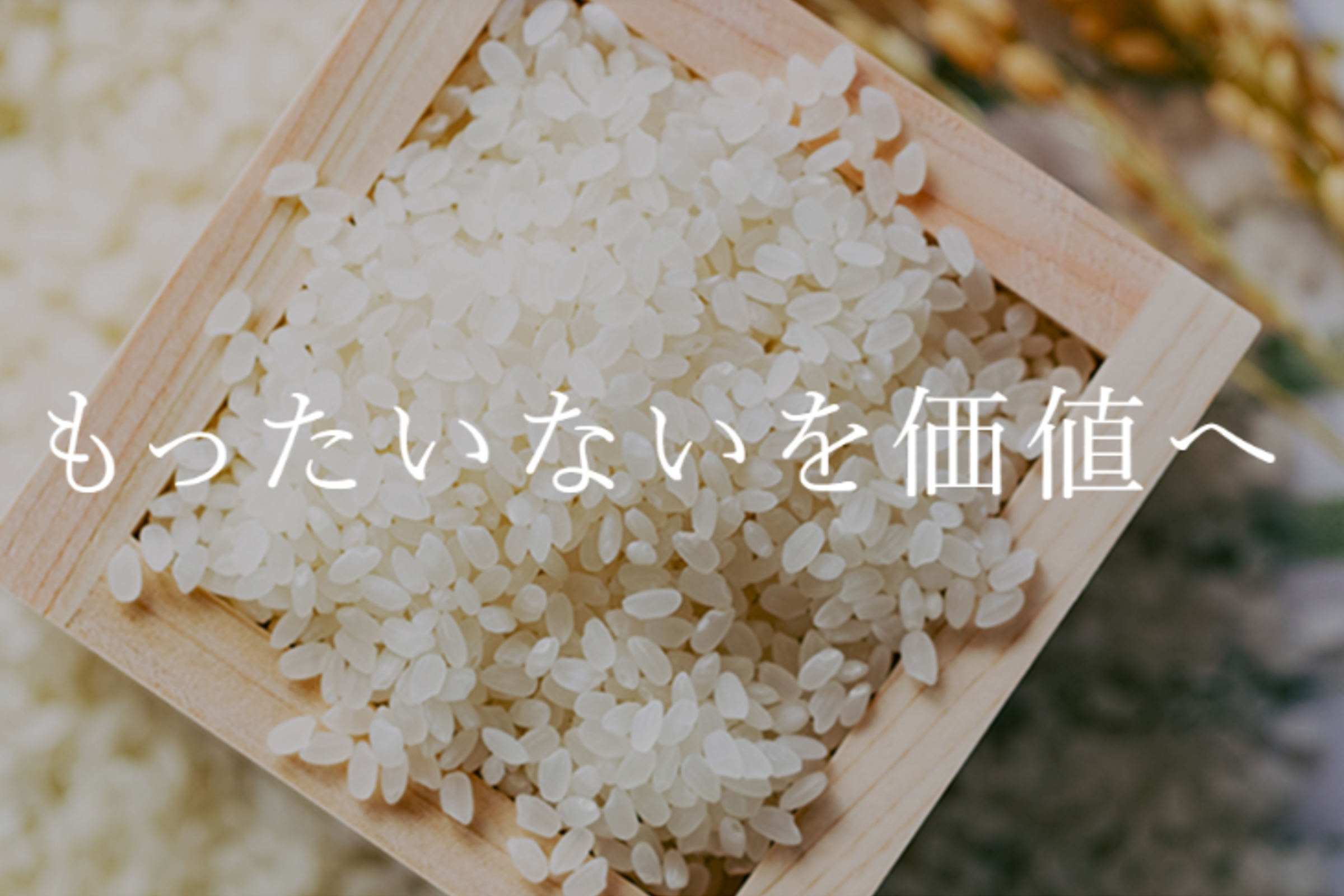 フードロス 蔵出し