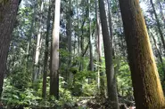 岡崎の森を起点として中山間地域の持続可能性を高め、里山での幸せな暮らしの実現を目指します