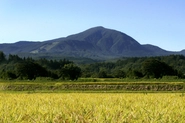 日本酒を造る原材料は、お米とお水。日本酒を守り発展させることは、豊かな自然環境を守ることにつながります。