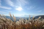 「日本で最も美しい村」連合に加盟する南小国町。秋にはススキの白い穂が大観峰を埋め尽くす。