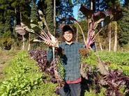 我らがくくりの森で取れた最高の野菜たちです！