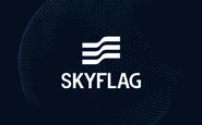 メインプロダクト　Web広告事業『SKYFLAG』