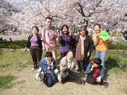 まんぼうの「庭」大阪城でお花見