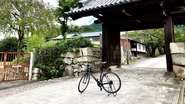 福利厚生制度の一つ「ワーケーション施設補助」を利用してワーケーションしながら京都→大阪→和歌山→那智勝浦を自転車で走破しました。