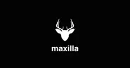 【事業部】maxilla：クリエイティブエージェンシー / ビジュアルプロダクション