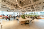 約70人の社員数に対して約220坪の1フロアを半分は固定席の執務室、半分はフリーのカフェエリアとして利用しています。都会にいながらも緑に囲まれた開放的な空間で伸び伸びと仕事に向き合えるオフィスとなっています。
