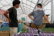 現場主義を意識し、品種開発の段階から生産者の方々とのコミュニケーションを大事にしています