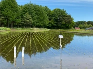 【水田ファーモ】田んぼの水管理の省力化や収穫量UPに貢献。