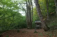 樹齢400年近い桂のあるパワースポット剣桂神社は宿から徒歩5分ほどです。