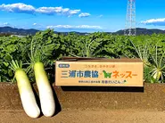 2022年の実証実験でフードバンクに寄付された神奈川県三浦半島産の青首大根