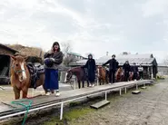 熊本旅行の乗馬体験＆温泉でリフレッシュ！