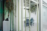 オフィスの会議室では土曜日に生け花教室を開催していて、いたるところが季節の植物で彩られています。