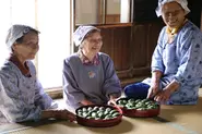「めはりずし」という奈良県の郷土料理を作り続けるおばあちゃんたち。品種改良されていない古代米という原種を、自分たちで植え続けている。
